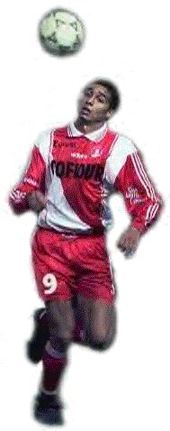 david